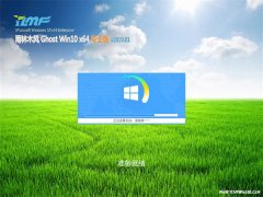 ʿGhost Win10 x64 רҵv2019.01