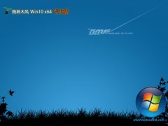 ľ64λwin10ʼǱ콢v2025.05