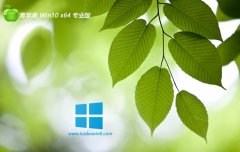ƻϵͳwin10 64λ ⼤Ƹ߶˰v2025.05