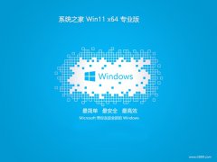 ϵͳ֮win11Լ64λv2025.05⼤