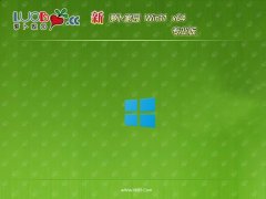 ܲ԰win11޲Ȱ64λv2025.05⼤