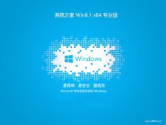 ϵͳ֮64λwin8.1Чv2025.05