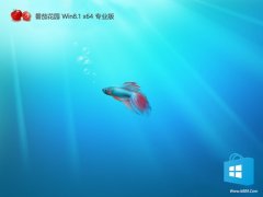 ѻ԰win8.1 64λv2025.05