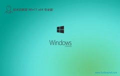 Աwin1164λͨv2025.05