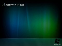 ȼwin11 64λ칫v2025.05